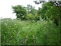 Bridleway near Cuttenham Farm