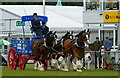 The South of England Show 2011