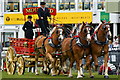 The South of England Show 2011