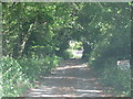 Access track near Wergs Copse