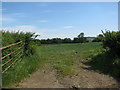 Field by the disused railway line