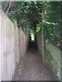 Footpath - Rawdon Road