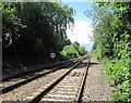 Railway west from Heckington