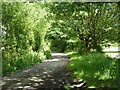 Old main road, Marsh Green