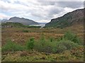 The view towards Tollie Farm and Loch Maree