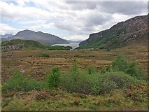 NG8678 : The view towards Tollie Farm and Loch Maree by Robin Drayton