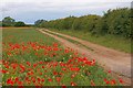 Track and Public Footpath