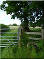 High Weald Landscape Trail ascending towards Pickeridge Farm