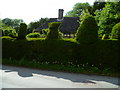 Topiary in West Hoathly