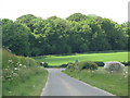 Junction with the A354 below Tarrent Hinton Down