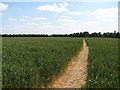 Footpath to Teversham