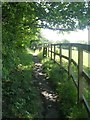 Footpath - New Lane