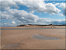 NU2410 : River Aln crossing beach at Alnmouth by Trevor Littlewood