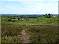 Upton Heath, view