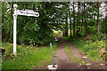 Footpath, Kilmacolm