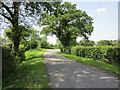 Hob Lane near Moss House Farm