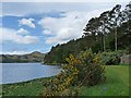 NG8681 : The shore of Loch Ewe by Robin Drayton