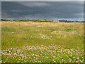 Pasture at Garlidna