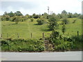 Steps up to a field, Cwmynyscoy Road, Pontypool