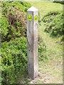 North Wales Path waymark post, Capelulo