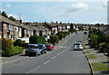 Looking up Stonelow Road