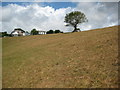 Field at Strete