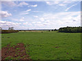 Field at Chapel Farm