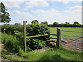 Footpath stile near Dunham-on-the-Hill