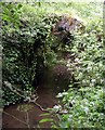 Packhorse bridge