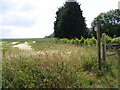 Footpath to the B1078 Ipswich Road