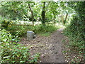 New mounting block for bridleway at Coldwaltham