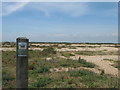 Dungeness Nature Reserve