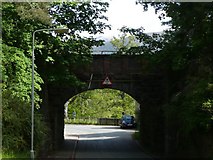 NH8305 : Railway bridge at Kincraig by Russel Wills