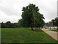 TQ3677 : Path through Fordham Park by Stephen Craven