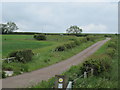 NT8937 : Lane  toward  Flodden by Martin Dawes