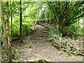 Path and Steps at Scout Green, Tame Valley