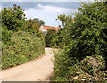 2011 : Bodden Lane, approaching Bodden