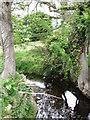 The Aughrim River at the Dougans Road bridge