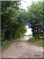 Footpath to Kettleburgh Village Hall & The Street