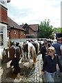 2011 Wickham Horse Fair (21)