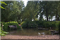 Ford and stepping stones over the River Ver, Hertfordshire