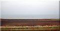 Ploughed field north of Berwick