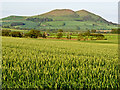 NO3704 : Farmland near Letham by William Starkey