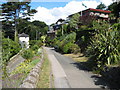 Quiet road near Kingswear