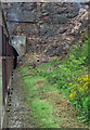 Entering Cheddleton Tunnel, Staffordshire