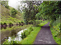 SE0411 : Huddersfield Narrow Canal, Marsden by David Dixon