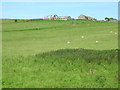 Farmland, Cowper Cote