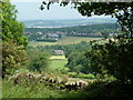 View from Bolehill Lane