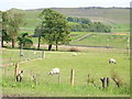 Farmland off the B6265