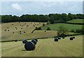 Fields below Bole Hill